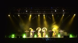 paris spectacle revue cabaret