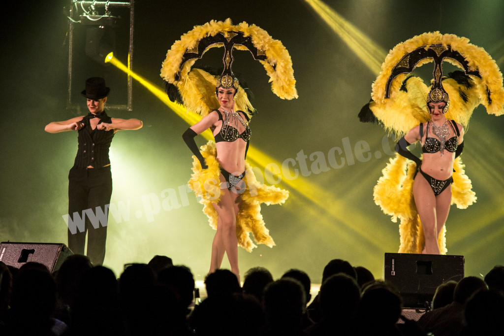 Les Plaisirs De La Revue Cabaret De Clermont Ferrand Paris Spectacle 0477661273 